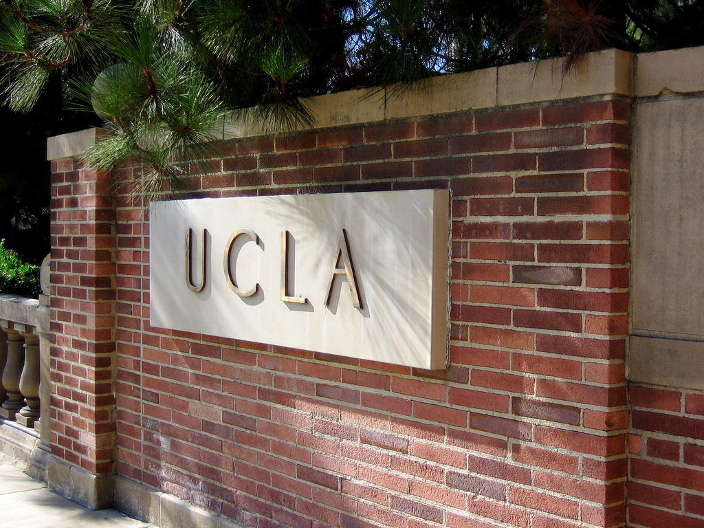 ucla entrance essay