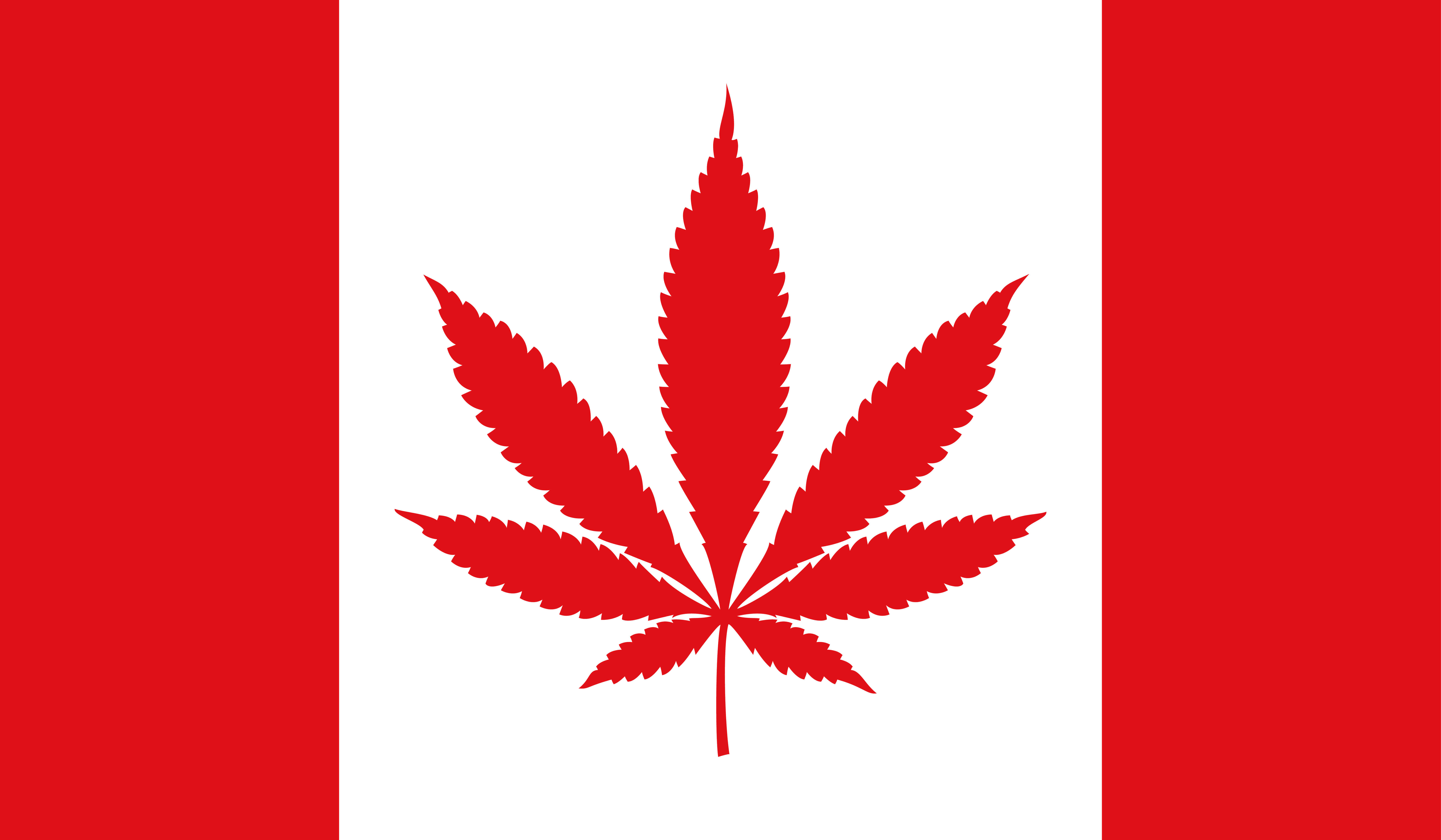 カナダのマリファナ 大麻 合法化についてと今後 Englishpedia