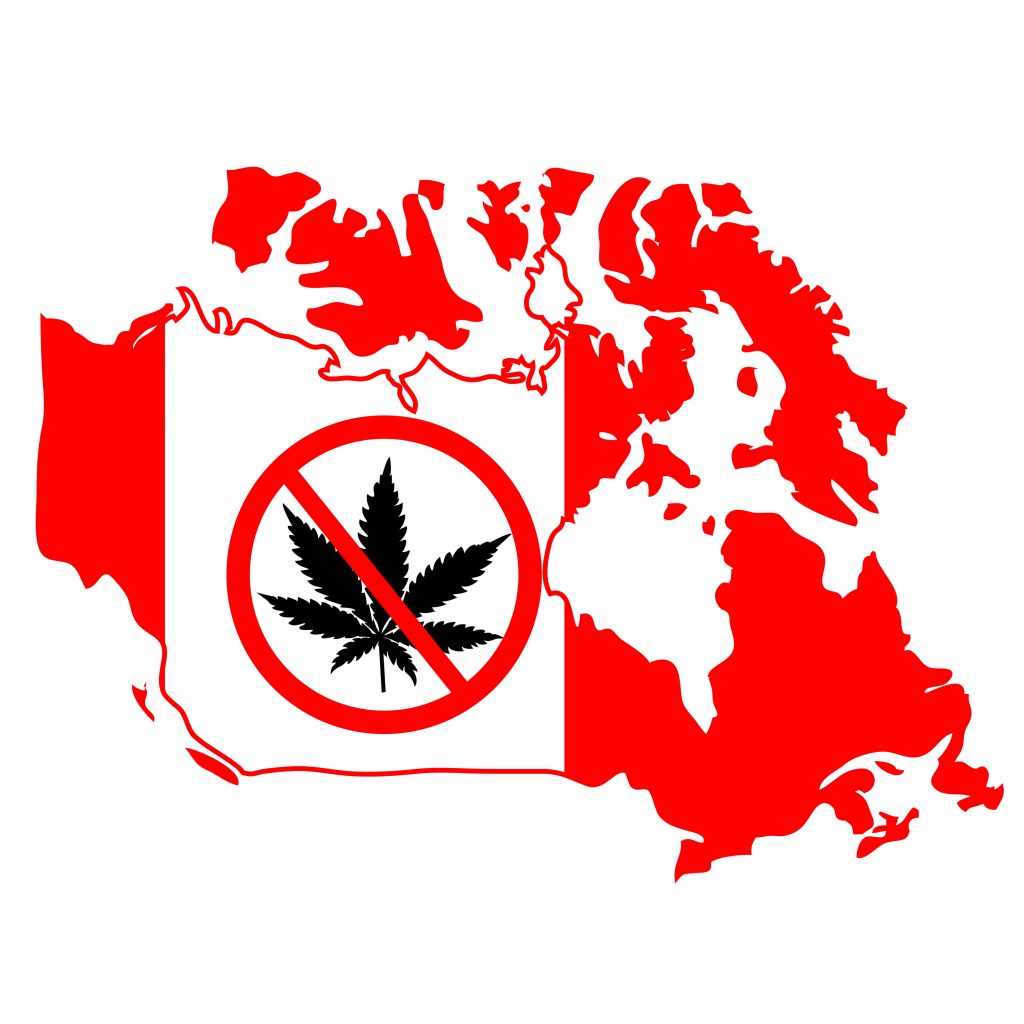 カナダのマリファナ 大麻 合法化についてと今後 Englishpedia