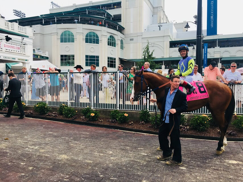 ケンタッキー最大都市 ルイビルの魅力を紹介 Englishpedia